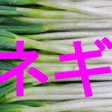 ネギのアイキャッチ画像です