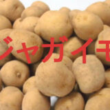 ジャガイモのアイキャッチ画像です