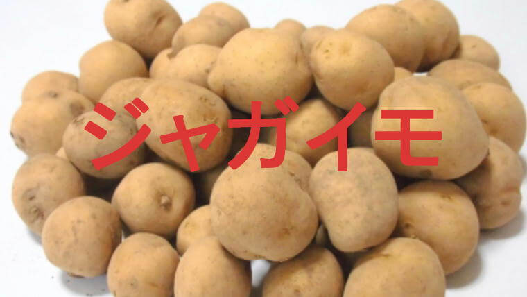 ジャガイモのアイキャッチ画像です