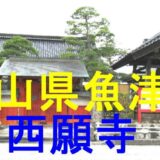 西願寺のアイキャッチ画像です