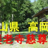慈尊院アイキャッチ画像