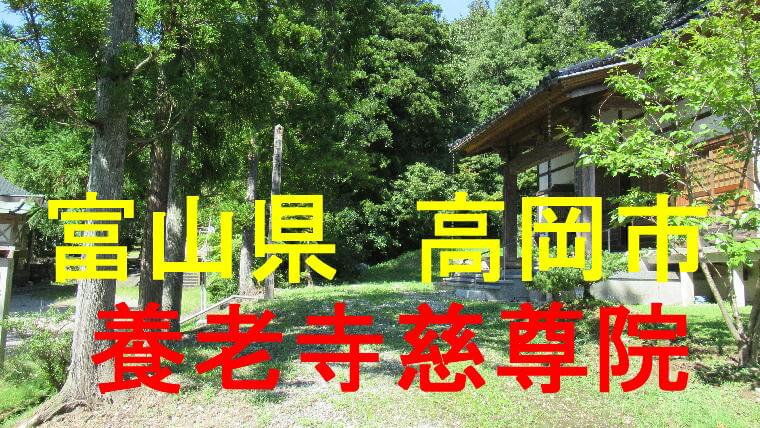 慈尊院アイキャッチ画像