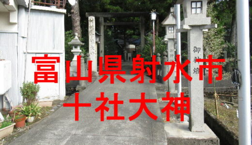 十社大神