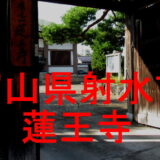 蓮王寺アイキャッチ画像
