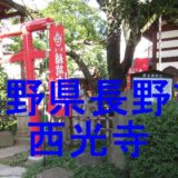 西光寺アイキャッチ画像