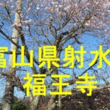 福王寺アイキャッチ画像