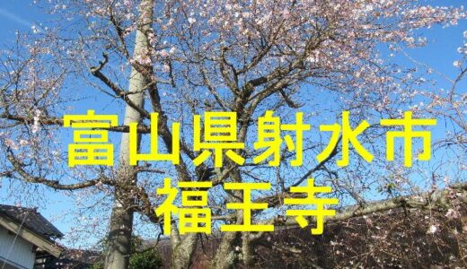 福王寺