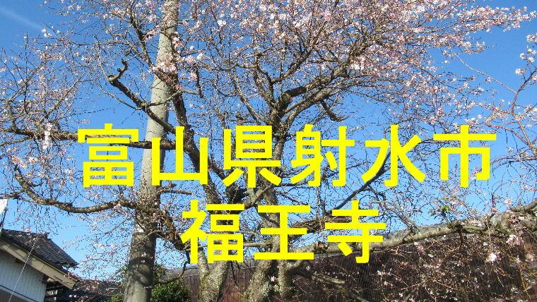 福王寺アイキャッチ画像