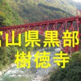 樹徳寺アイキャッチ画像