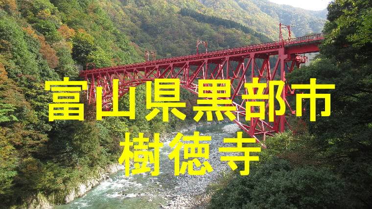 樹徳寺アイキャッチ画像