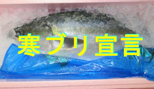 氷見寒ブリ