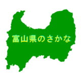 富山県のさかな