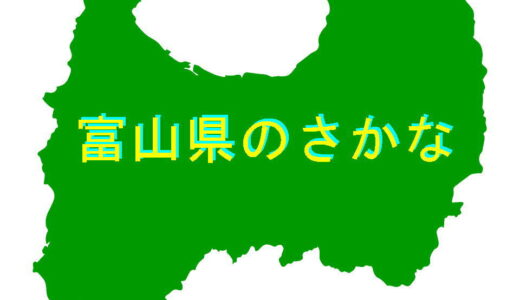 富山県のさかな