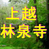 林泉寺アイキャッチ画像